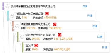 杭州祥源寰熙企業管理咨詢有限責任公司 信息技術咨詢服務的專業支持